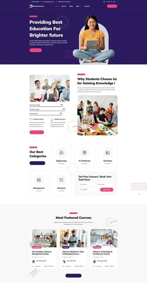 WordPress Theme